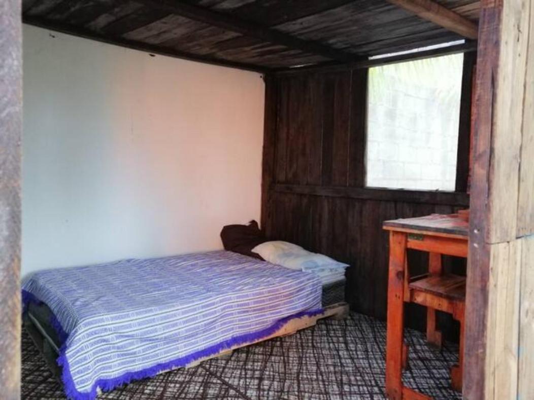 Sustainable Cabain Apartman Cozumel Kültér fotó