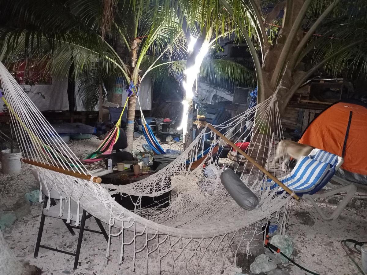 Sustainable Cabain Apartman Cozumel Kültér fotó