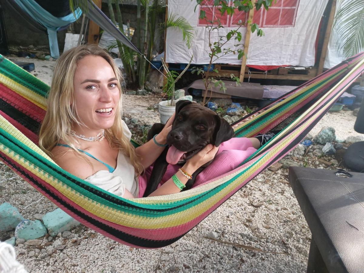 Sustainable Cabain Apartman Cozumel Kültér fotó